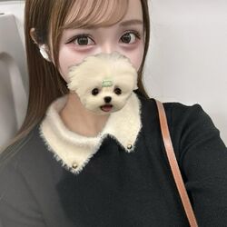 出勤できました!