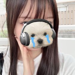 いつもありがとうございます!