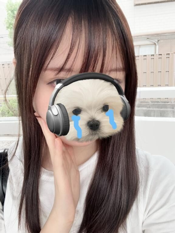 いつもありがとうございます！