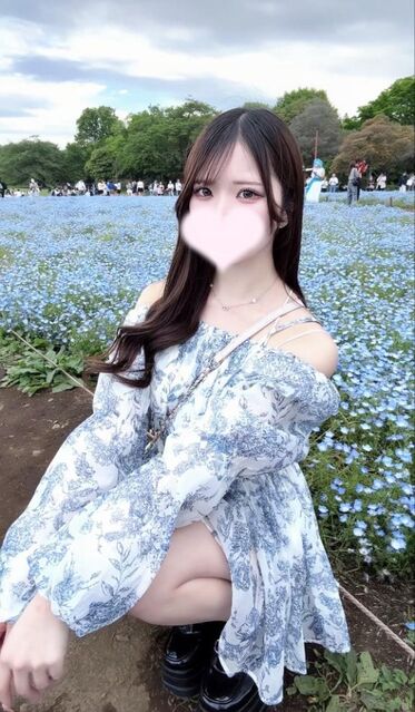 ネモフィラ満開だった♪