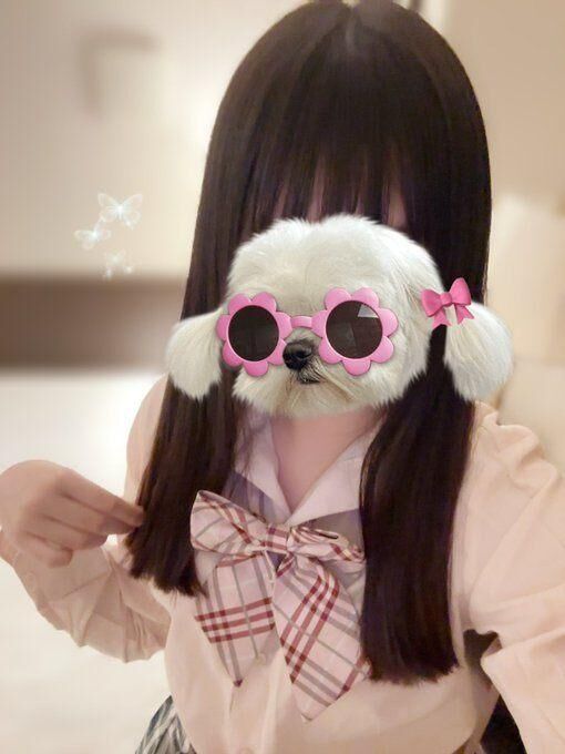 お知らせあります♪