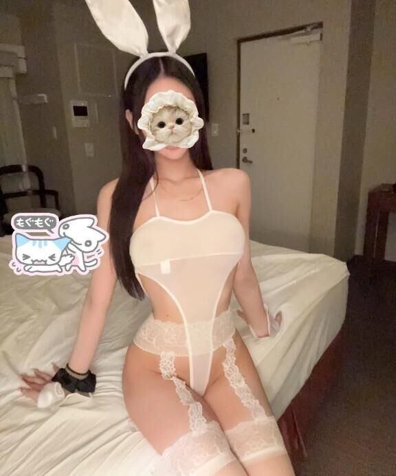 私の只今の案内状況♪