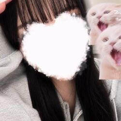 10月11日の私の案内状況♪