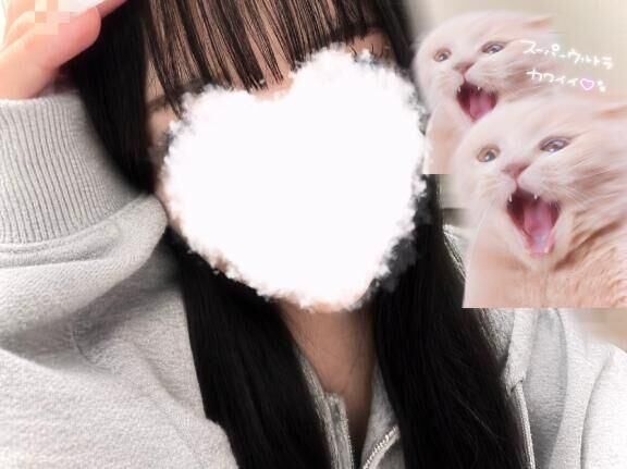10月11日の私の案内状況♪