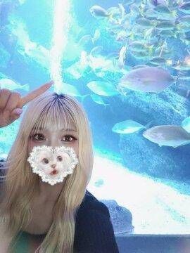 オットセイめちゃくちゃ吠えてました笑